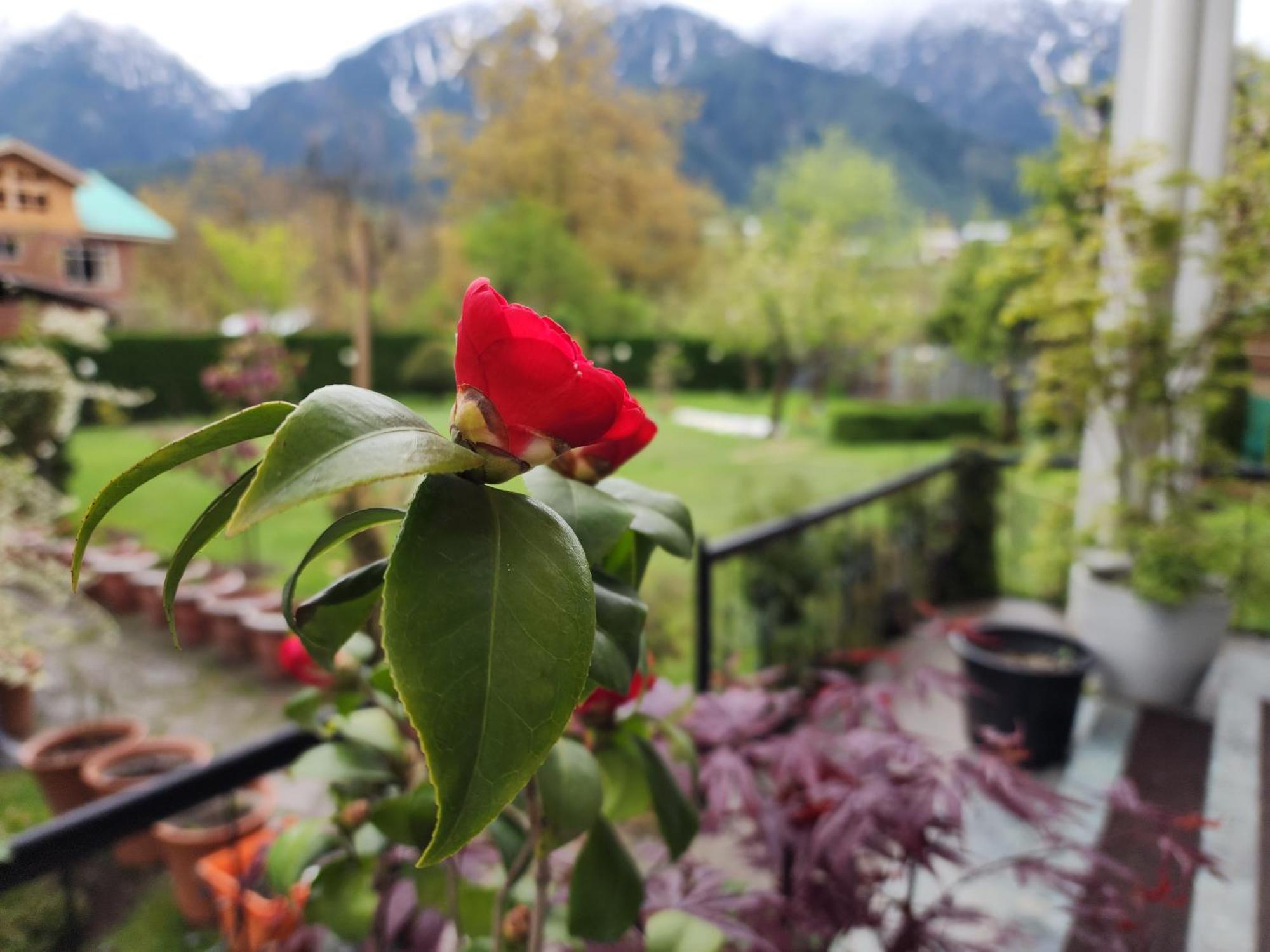 Premier Pahalgam 호텔 외부 사진